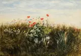 Andrew Nicholl, Bank of Flowers