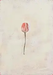 Michael Canning, Cultivar IV, 2001, oil and wax on canvas over board
