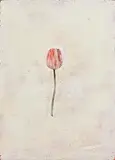 Michael Canning, Cultivar IV