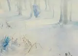 Tom Carr, Snow in Belvoir Park, watercolour on paper