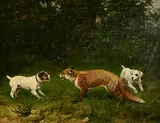 Casper von Reth, Hunting Dogs and Fox, 1897, oil on canvas