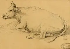 Eugène Verboeckhoven, Cow Resting, 1866, pencil on paper