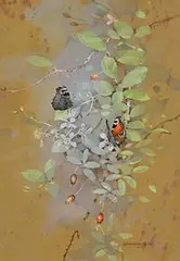 Gordon Beningfield, Peacock Butterflies, watercolour on paper