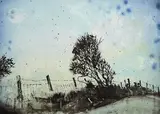 Elizabeth Magill, Parlous Land
