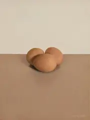 Comhghall Casey, Three Eggs, 2006, oil on canvas