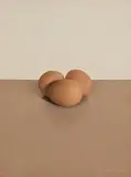 Comhghall Casey, Three Eggs, 2006, oil on canvas