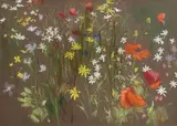 Kenneth Webb, Wild Flower Meadow, pastel on paper