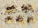 Grid by John Kingerlee, 2021, oil on board, sold Mar 2023