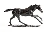 Siobhan Bulfin, Galloping