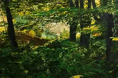 Paul Ringrose, Lissard, 2007, oil on board
