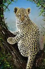 Curious Cub by Pip McGarry, 2011, oil on canvas, sold Mar 2023