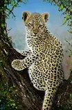 Pip McGarry, Curious Cub, 2011, oil on canvas