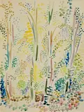 Father Jack P. Hanlon, Forest Trees