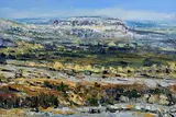 Henry Morgan, The Burren near Carran, Co. Clare