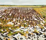 Martin Gale, Winter in the Midlands