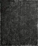 Alice Maher, History of Tears I, 2001, chalk on calico