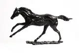 Siobhan Bulfin, Galloping (HRI