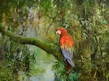 Norman R. Coker, Parrots, oil on canvas