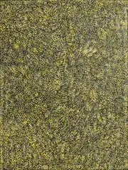 Grace Pwerle, Bush Plum Dreaming, 1999, acrylic on linen