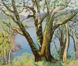 Letitia Marion Hamilton, The Big Tree, Bantry Bay, oil on canvas
