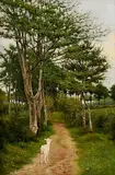 Joseph Malachy Kavanagh, A Breton Byway