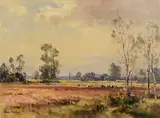 Cattle Grazing, Foot of the Mournes by Frank McKelvey, oil on canvas, sold Nov 2022