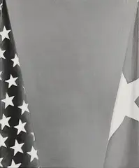 Flag by Marcel Vidal, 2017, oil on canvas, sold Nov 2022