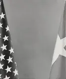 Marcel Vidal, Flag, 2017, oil on canvas