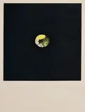 Louis le Brocquy, Citron, 1974, aquatint on arches paper number 16 from an edition of 75