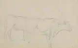 Mildred Anne Butler, Cattle Grazing