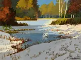 John Francis Skelton, Swan Shade, Mullagh Lake, Cavan, acrylic on canvas board
