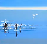 In Shallow Waters by John Morris, oil on board, sold Aug 2022