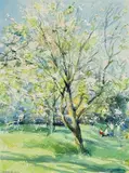 Thomas Ryan, Cherry Blossom, watercolour on paper