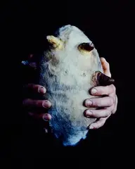Dorothy Cross, Rugby Ball, 2005, photograph - number 92 from an edition of 100
