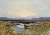 Percy French, Heather in a Bog Landscape