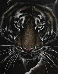 Mark Evans, Tiger, unique etching on leather