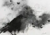 Margo Banks, What Do You See When You Look at Me Crow?, mixed media on paper