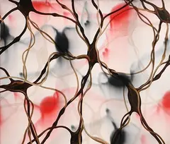 Mark Francis, Ventral 2, 2003, oil on canvas