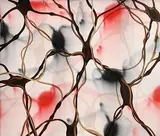 Mark Francis, Ventral 2, 2003, oil on canvas