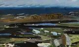 Elizabeth Rivers, Aran Horses