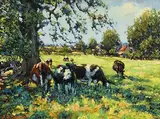 James S. Brohan, Cattle Grazing
