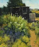 James English, Wild Allotment