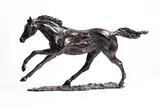 Siobhan Bulfin, Galloping (HRI Awards