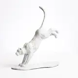 Mark Rode, Snow Leopard
