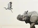 Spencer Hodge, Rhino and Bird, oil on canvas