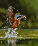 Steve Burgess Canadian, Catch of the Day, oil on board