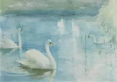 Tom Carr, Swans on the Lagan, watercolour on paper