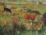 Paul Kelly, Kerry Cows