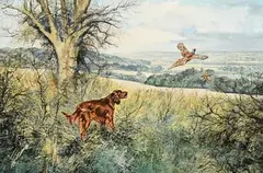 Irish Setter and Pheasant by Henry Wilkinson, 1980, oil on canvas, offered Jan 2022