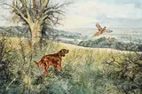 Henry Wilkinson, Irish Setter and Pheasant, 1980, oil on canvas